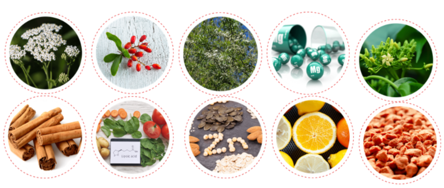 CardioX Glucose Management Ingredients
