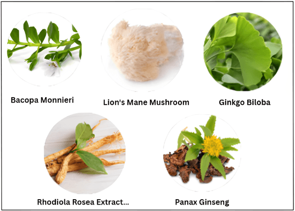 Memora-Ingredients