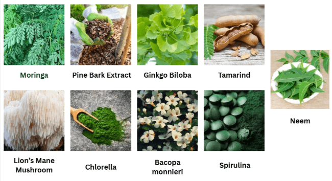 NeuroPrime Ingredients
