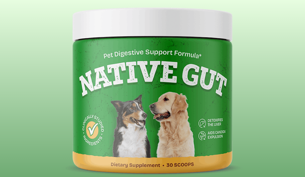 NativeGut Reviews
