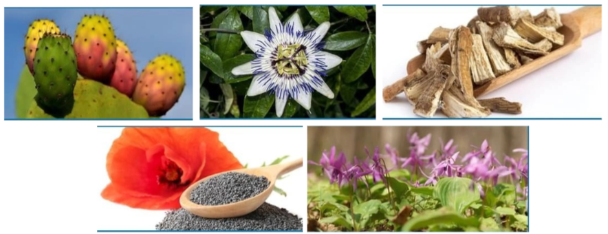 Nerve Soothe Ingredients
