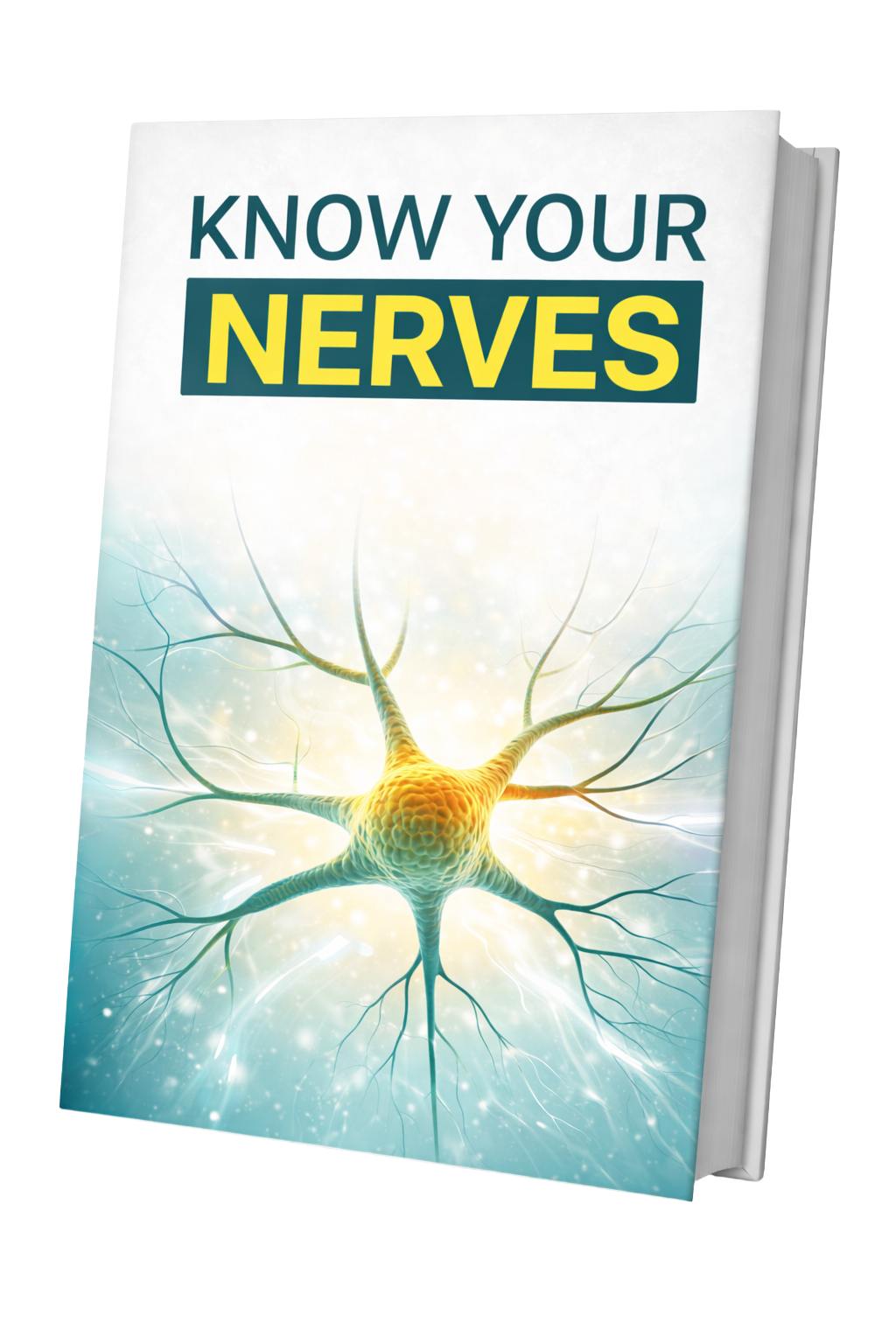 NerveCell Bonus 2