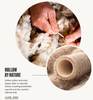 Hollow Socks Feature