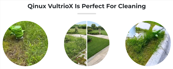 Qinux VultrioX use