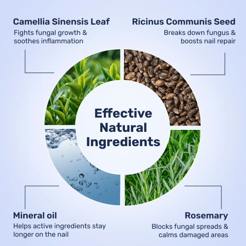 WellaNail-Fungus-Treatment-Oil-ingredients